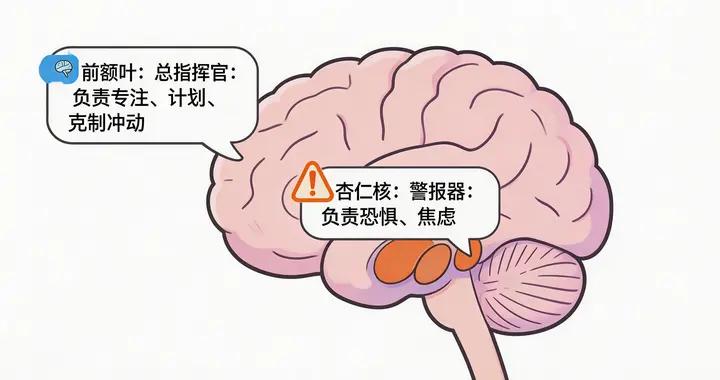 別隻催孩子專心！厭學背後，可能是他大腦的“總指揮官”需要支援