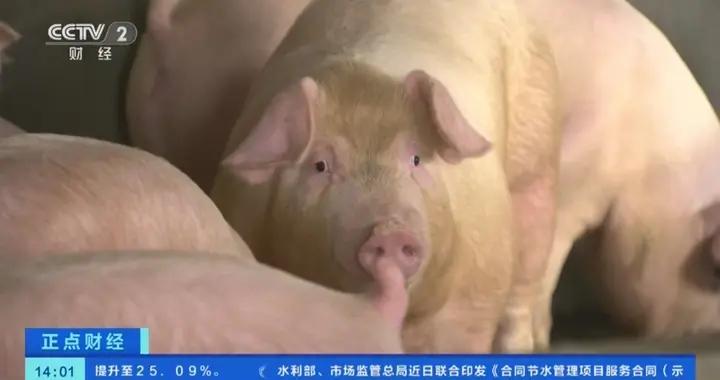 3月份全國豬價、蛋價雙雙回落