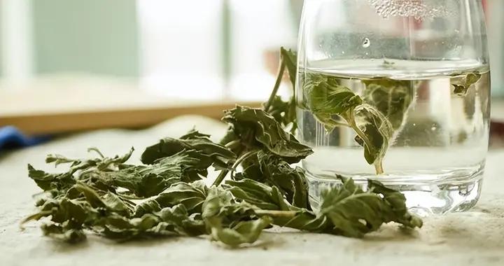 想給肺部“大掃除”？先搞懂這些：飲食+環境+呼吸，一步不能少