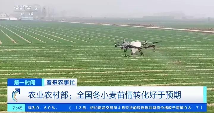 春來農事忙丨農業農村部：全國冬小麥苗情轉化好於預期