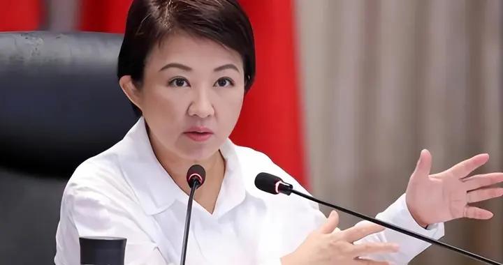 盧秀燕要赴美11天，她其實是爲自己去“面試”，不管見誰都心虛