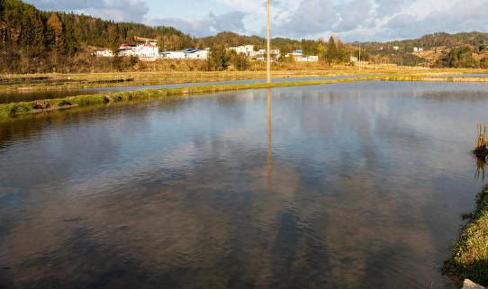 2歲孩童跟3歲哥哥回家，被人發現在農田溺亡 家屬起訴農田承包人索賠被駁回