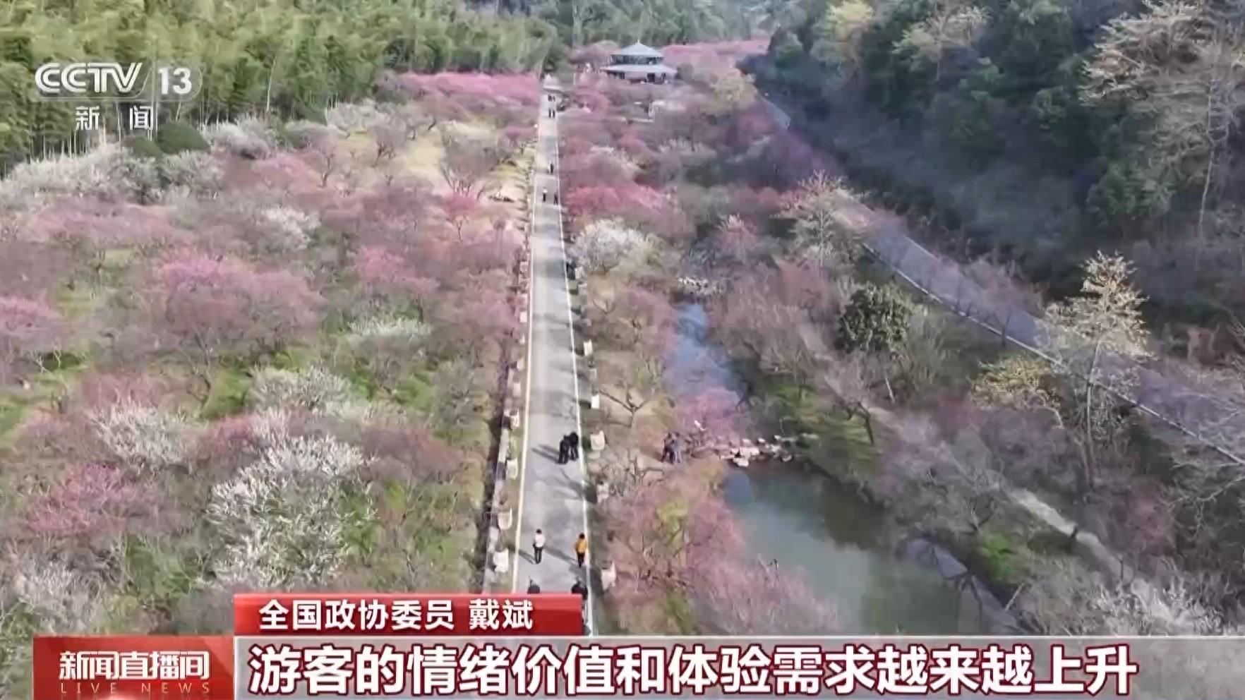 視頻丨如何讓居民能消費、敢消費、願消費？政協委員這樣熱議