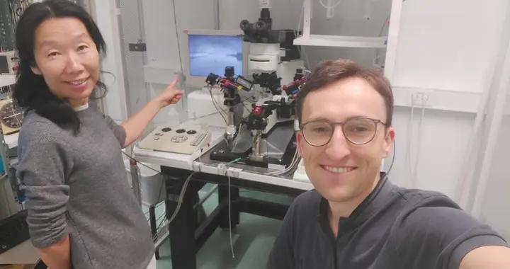 首次讓冷凍大腦復活：小鼠腦組織在零下196度保存7天，記憶還在