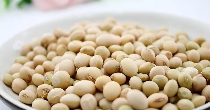 補血別隻喫菠菜！優先選這些食物，鐵和B12吸收率更高