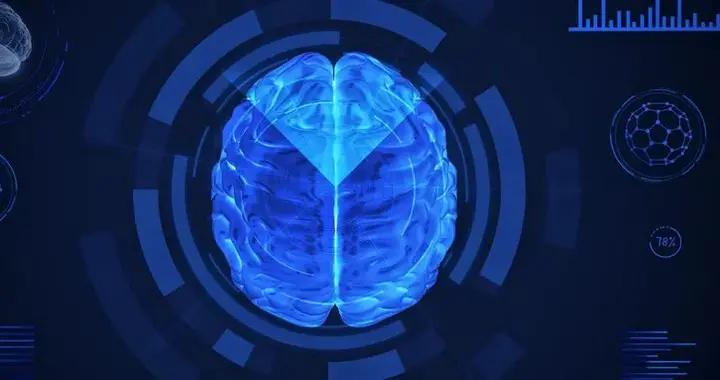 科學家正嘗試訓練實驗室培育大腦