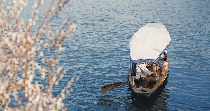 別找了！國內春天怎麼玩，看這篇就夠了！