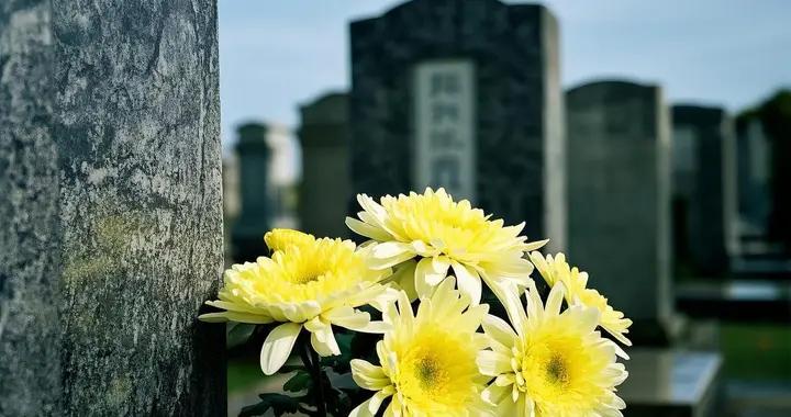 不是迷信！2026年清明上墳，記住這4天不宜前往！別忘告訴家人