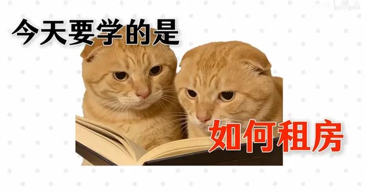 幾天漲粉一百萬的“耄耋”老師，真能讓年輕人學會幹貨嗎？