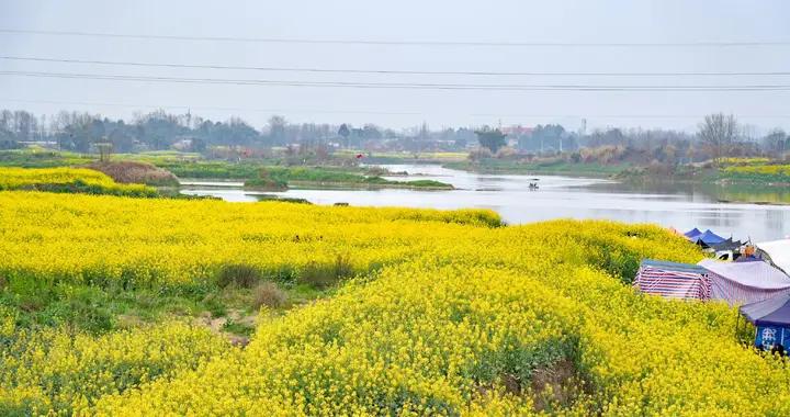 這些“純陽之物”，春天多喫一點，陽氣足身體棒，比喫保健品好