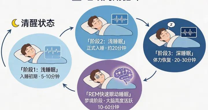 一夜無夢才叫睡得好？別再誤會你的夢了