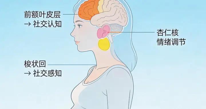 懷孕真能“改造”大腦！科學發現：一胎和二胎重塑的部位完全不同