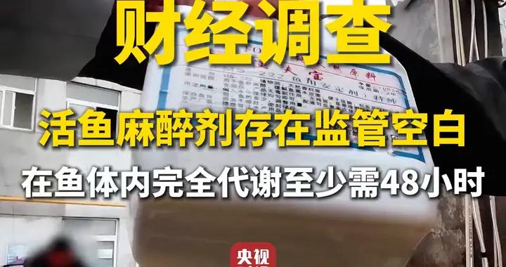 財經調查丨活魚麻醉劑存在監管空白，在魚體內完全代謝至少需48小時
