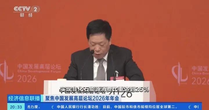 從中國發展高層論壇2026年年會高頻詞，展望未來5年高質量發展