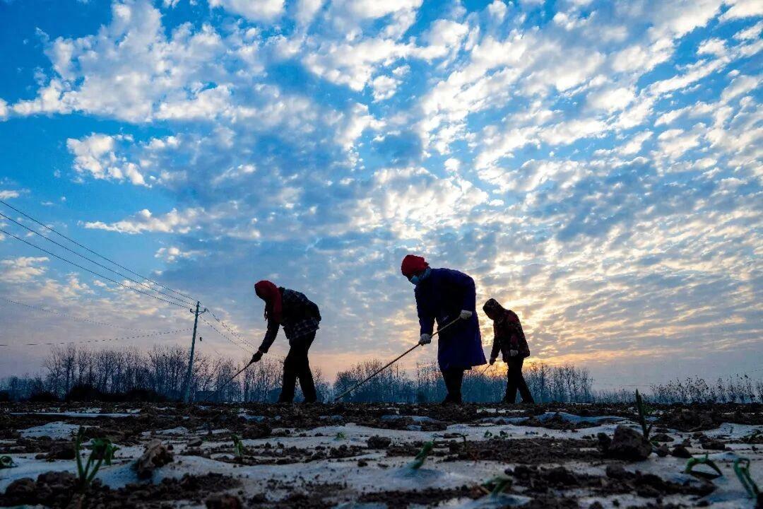 “不敢生病，不敢消費”，農民養老金該怎麼漲？