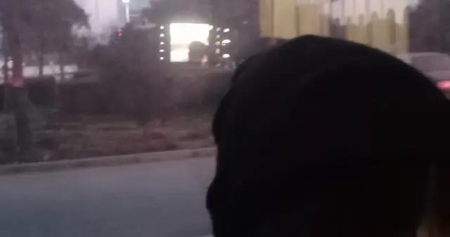 張雪峯走了，中年人該怎麼活？