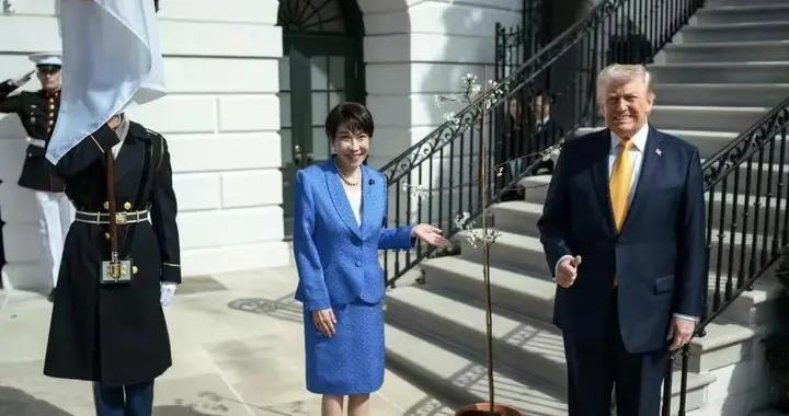 高市早苗送櫻花樹苗，她施展軟實力討好對方，回去又該睡不着了