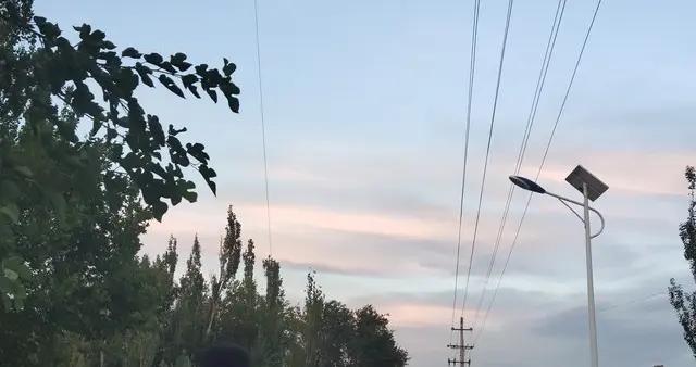 張雪峯說：出身寒門不可怕，可怕的是認命