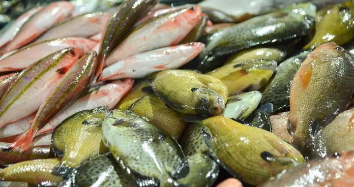 清明前後最該喫的魚，不是鱸魚和鯽魚，而是這4種，遇到不要錯過