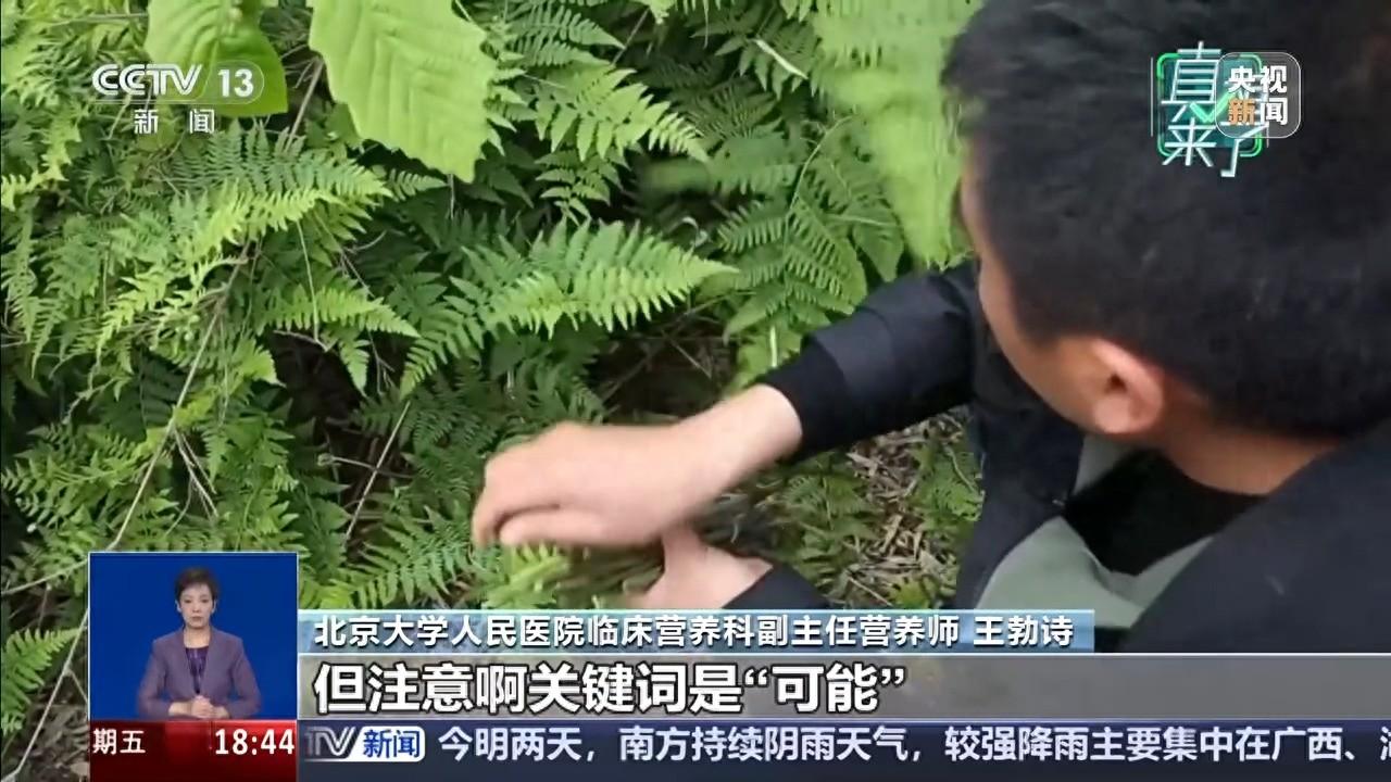 真相來了丨蔬菜致癌有風險？隔夜菜、醃製菜纔是真的要少喫