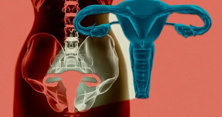 體外子宮存活24小時：生殖醫學的新起點還是科幻？