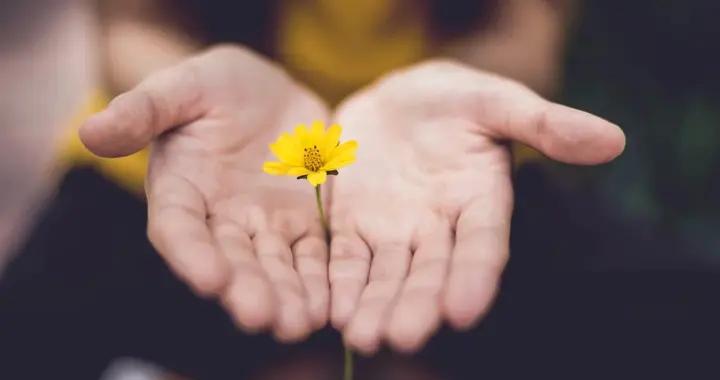 抑鬱症有三種療愈，下等的是喫藥，中等的是運動，頂級的是內觀