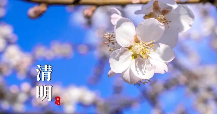 終於有人說實話了，爲啥現在上墳掃墓“變味了”，與以前大不相同