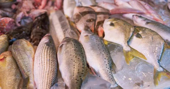 清明過後，這3種海魚大量上市，純野生又便宜，遇到可不要錯過！