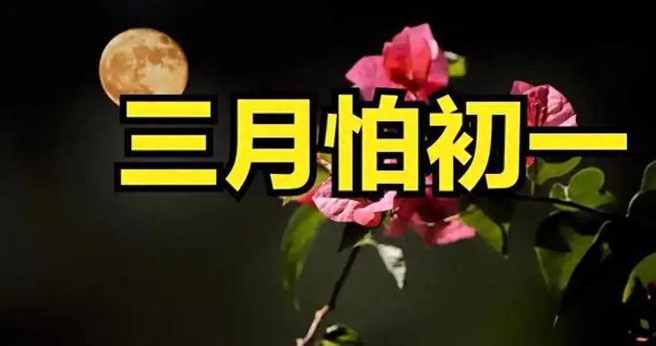 不是迷信！明日三月初一，牢記最不能做的5件事，別忘告訴家人