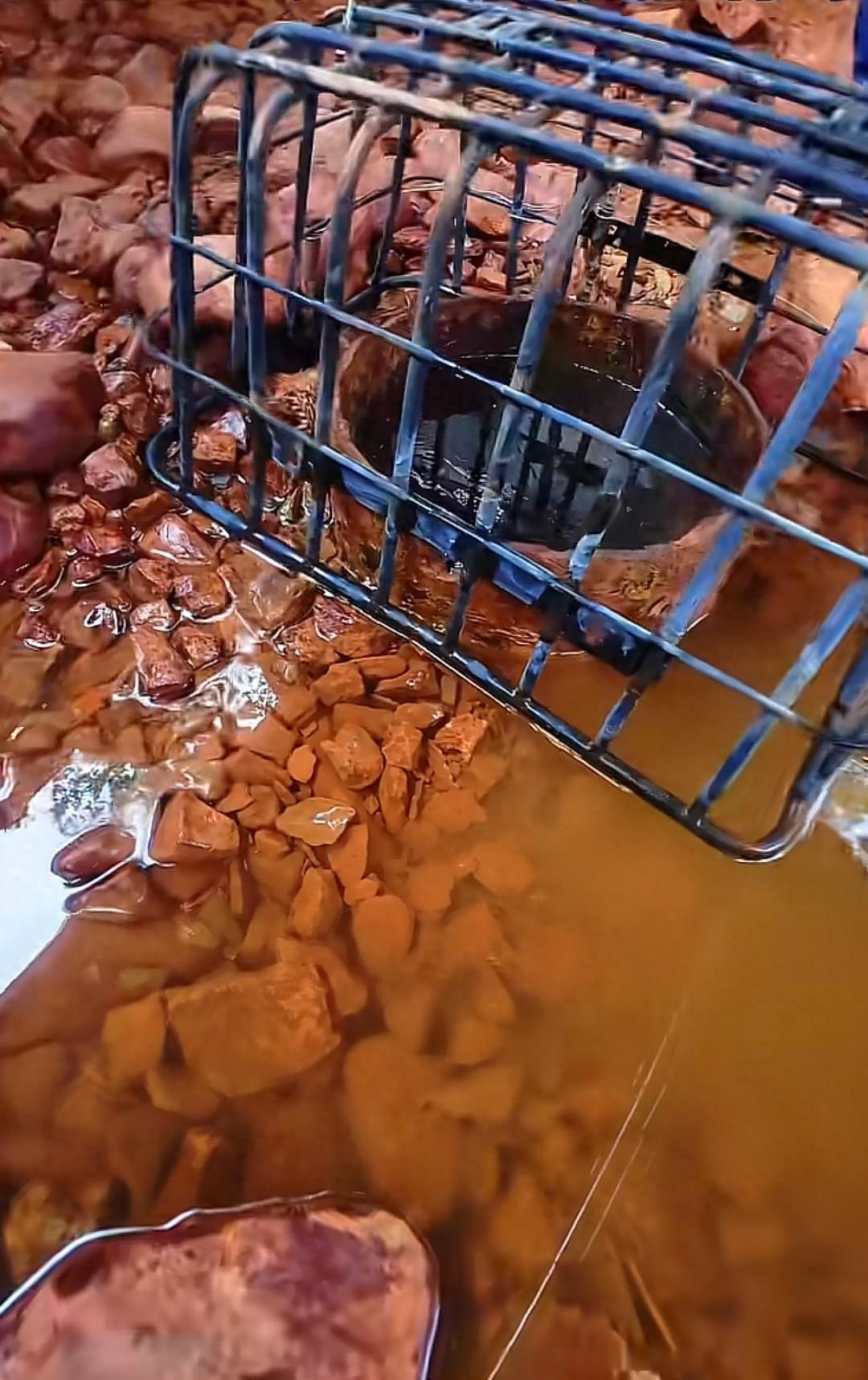 時隔130多天，鄭州“賈魯河源頭”再斷流，此前曾乾枯30多年，專家：枯水期已至，8月豐水期或將復湧