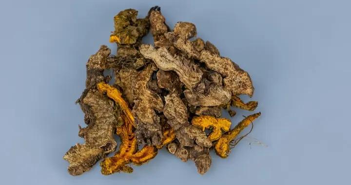 想靠黃連降火？先了解這些害處，別讓養生變成“傷身”