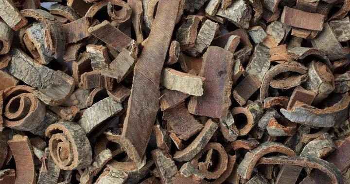 姜厚朴藏着這些妙用，理氣化痰、和胃安中瞭解一下