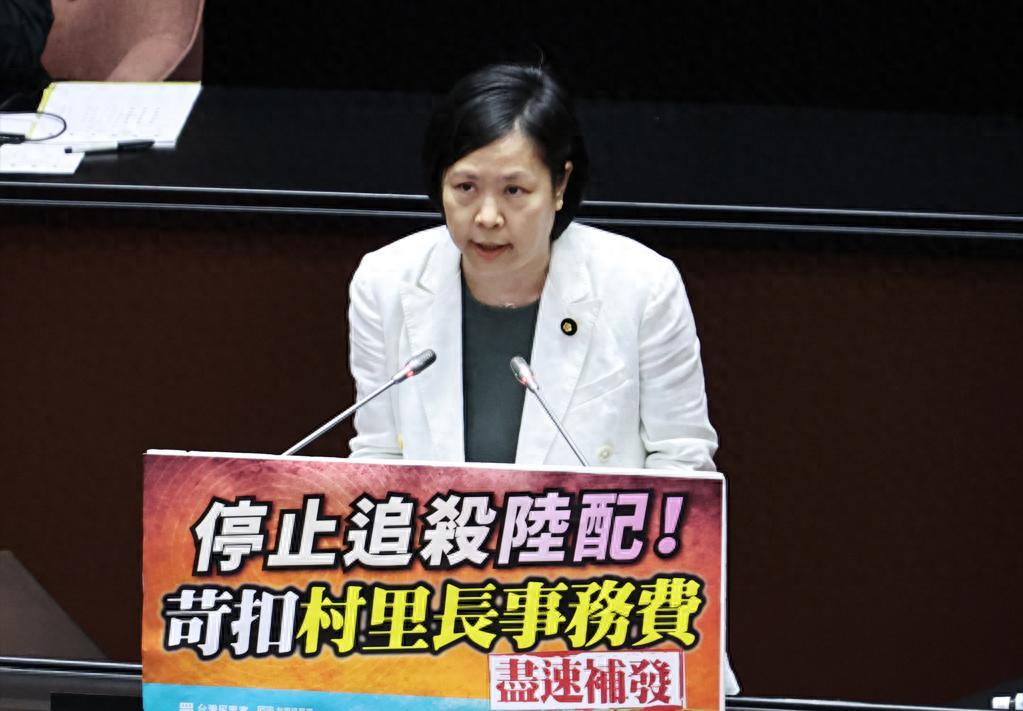 民衆黨中評會開鍘，李貞秀即日起喪失民代身份