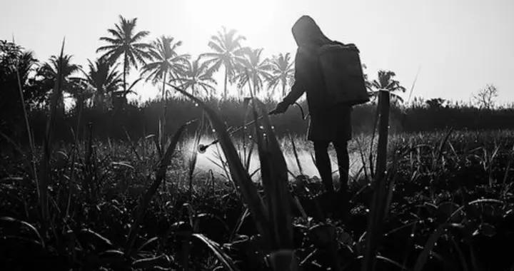 農藥可能嚴重破壞腸道微生物