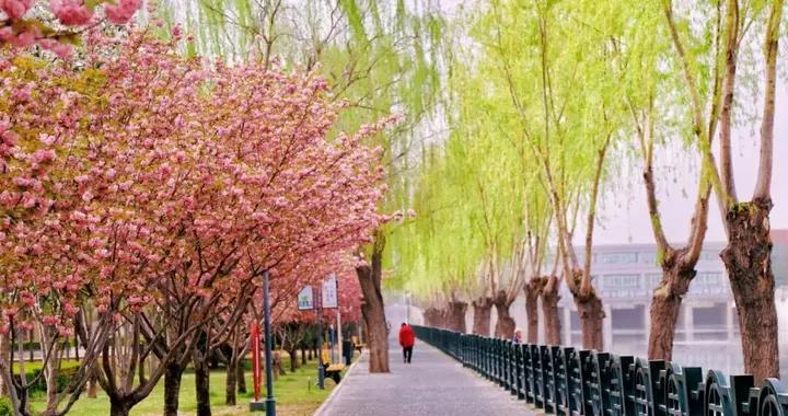 進入4月，寧可不喫肉，也要多喫這4種“能量菜”，越喫越精神！