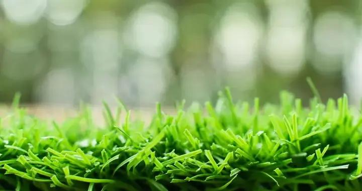 塑料草皮鋪進校園和公園：一場關於健康與便利的拉鋸戰