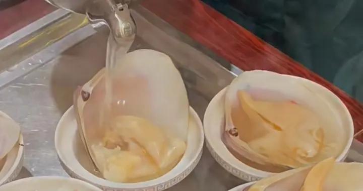 雞湯海蚌是福建名菜，味道鮮美，蚌針不要喫