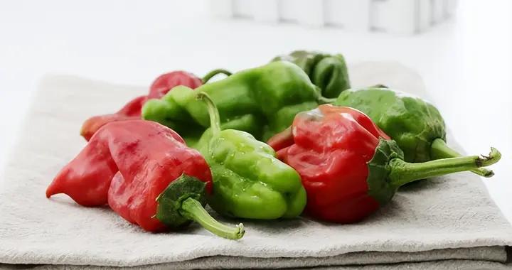 想抑制幽門螺旋桿菌？先搞懂這些飲食原則，比喫“剋星”管用