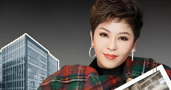 明星第一輛車是二手？向太稱：存款沒有200萬別買車