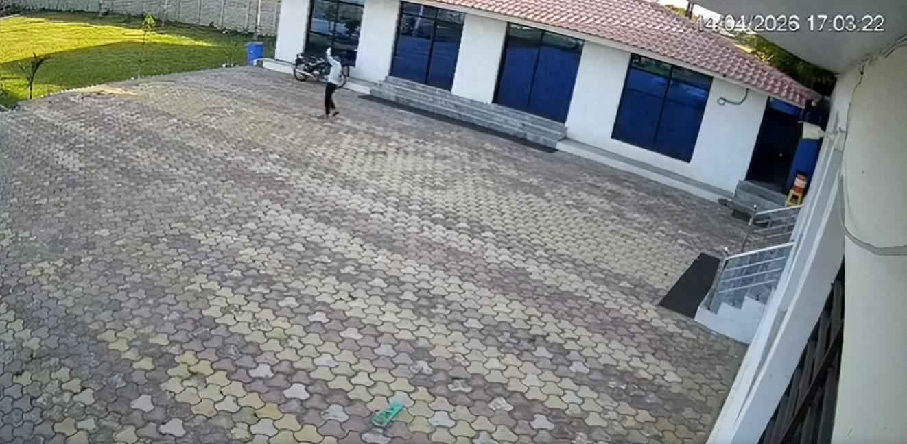 印度一男子舉鐵管驅趕猴子，觸碰33千伏高壓線瞬間被火吞噬身亡