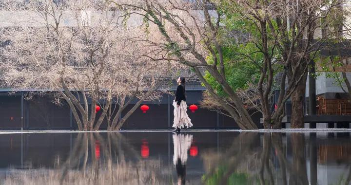 不漲價、不偷懶，默默進化了六年