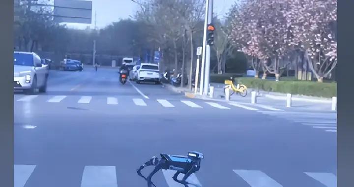 高德機器狗現身街頭 會等紅燈能買奶茶，這意味着什麼？