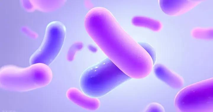 20天嬰兒能喫益生菌嗎？醫生：這些情況可考慮，安全要點別忽視