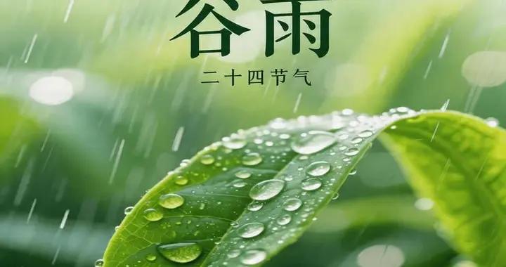 不是迷信！今天穀雨，白天3禁忌，晚上2注意，趕緊告訴家人
