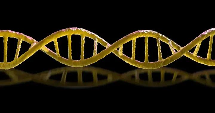 研究了30年的鏡像生命，爲什麼科學家自己喊了停