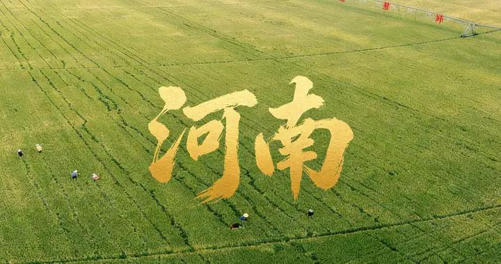 河南“隱藏款”土特產大盤點，都是難得的好食材，準備年貨用得着