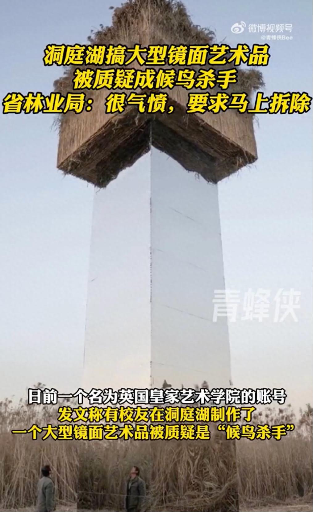 被指“候鳥屠場”的藝術作品，將拆除！