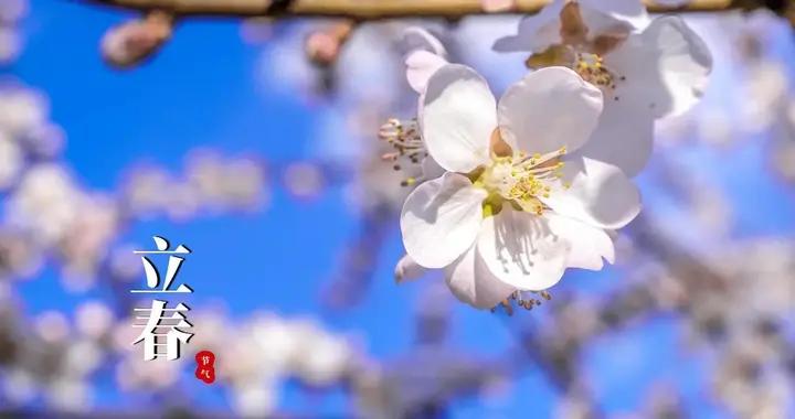 明日立春，牢記：1不洗，2不碰，3要喫，4要忌，迎春接福交好運