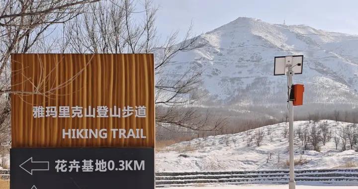 烏市雅山冬景，西門進去沿着柏油路，走到小遊園風景不錯