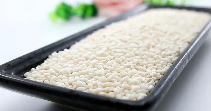 胃的“貼心食譜”：這些食物幫你築牢消化防線